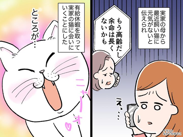 画像: 実家の老猫は「もう長くないかもしれない」【最後のお別れ】かと慌てて帰省すると → 不思議な出来事が