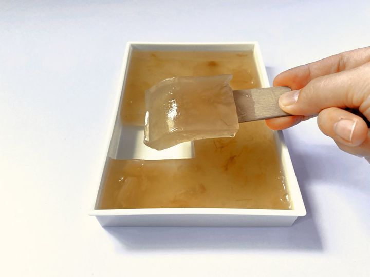 福井の老舗「えがわ」は水洋かんだけじゃない！夏は昭和レトロなぷるぷる「水かんてん」【旅するデザイナーがおすすめする旅先でのお土産たち！】