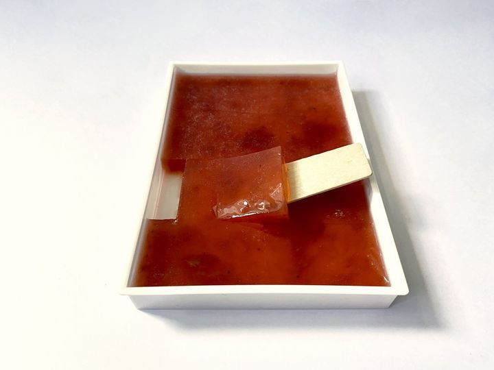 福井の老舗「えがわ」は水洋かんだけじゃない！夏は昭和レトロなぷるぷる「水かんてん」【旅するデザイナーがおすすめする旅先でのお土産たち！】