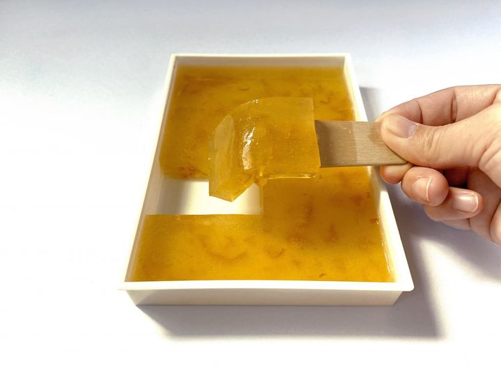 福井の老舗「えがわ」は水洋かんだけじゃない！夏は昭和レトロなぷるぷる「水かんてん」【旅するデザイナーがおすすめする旅先でのお土産たち！】