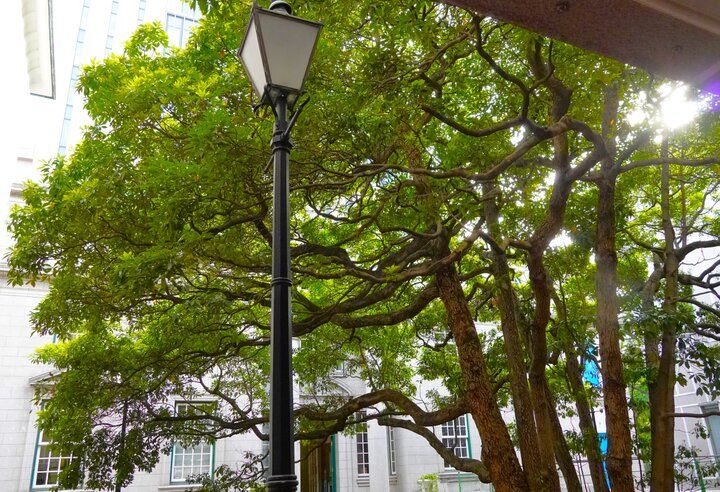 ペリーが上陸した横浜の地に建つ横浜開港資料館のミュージアムショップ「PORTER’S LODGE」で選ぶ♪レトロな横浜のおみやげ