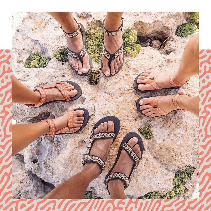 画像7: Teva 出典：テバ