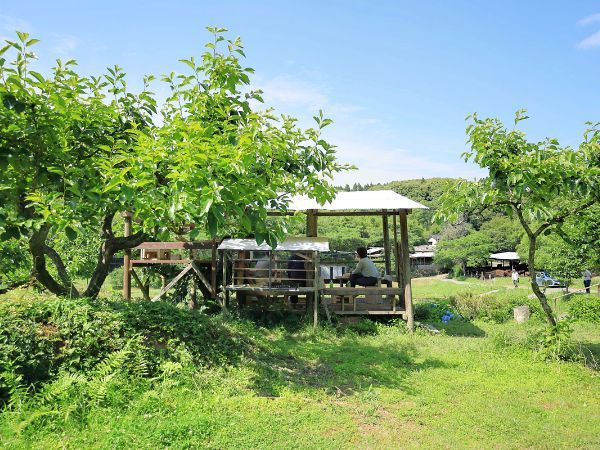 さつま町田原の棚田のスイレン