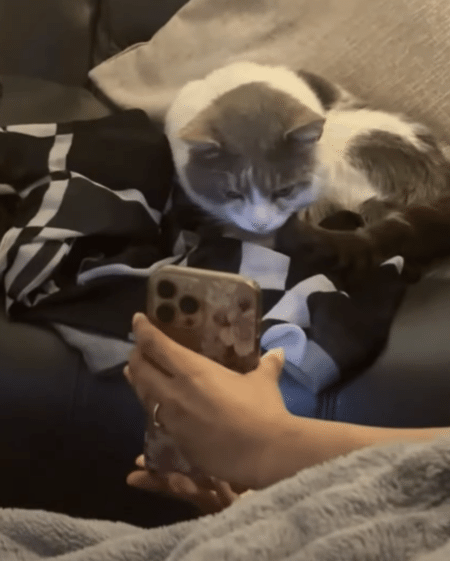 猫「可愛く撮ってね？ 」自分の写真写りを気にしているみたい！