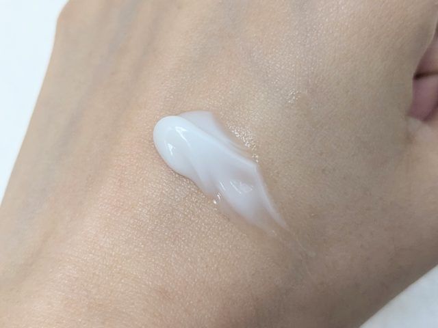 ディセンシアの写真