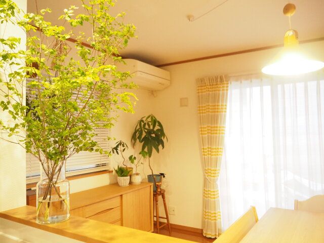 梅雨 過し方 暮らし