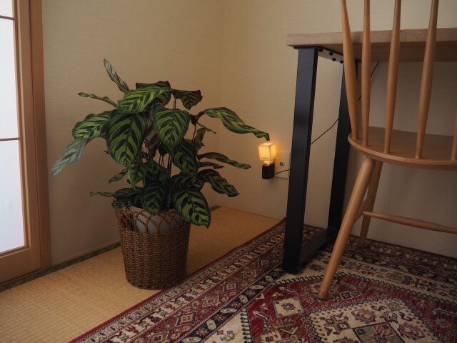 梅雨 過し方 暮らし