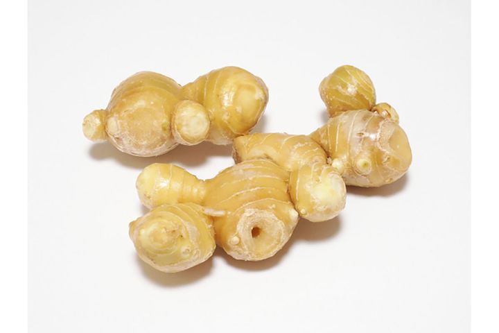 ▲香りと辛みが薬味として大活躍の「根しょうが」。全体がふっくらしていて重みがあり、スジが等間隔なものを選ぶと◎。