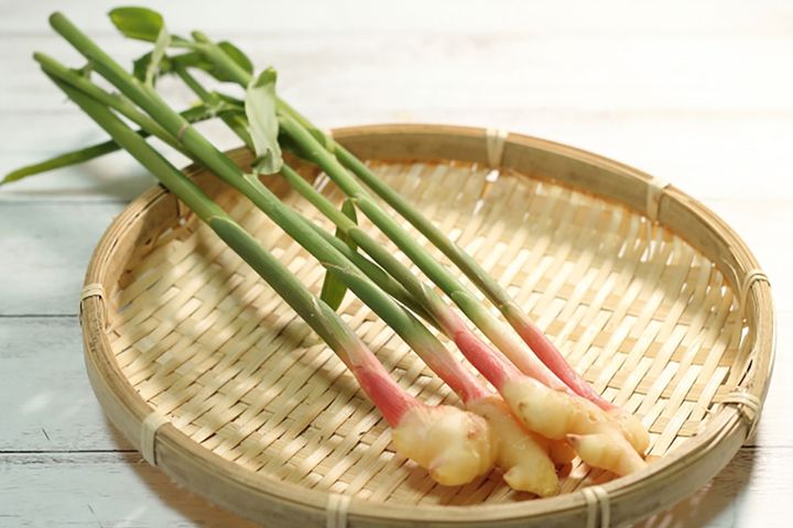 ▲葉付きの状態で出回る「葉しょうが」。「谷中しょうが」が有名です。