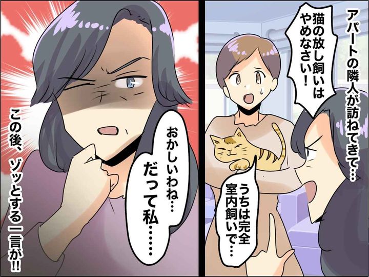 画像: 「猫を放し飼いするな！」「部屋飼いですけど、、」【謎のクレーム】から → 隣人の激ヤバ行動を知り、ゾッ