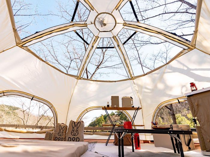 でかキノコテント 天井