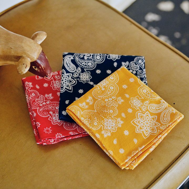 果実、ゾウリムシ、魂、天使の羽‥‥‥独特な模様がさまざまに例えられる「ペイズリー」柄【お洒落さんのためのファッション用語辞典 vol.78】