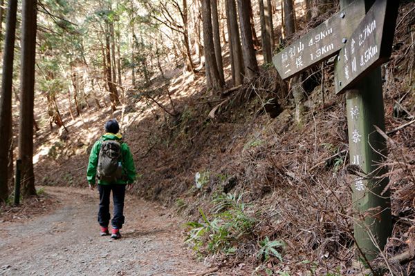 フットパスとは？醍醐味は意外すぎる動物にも出会えること!?