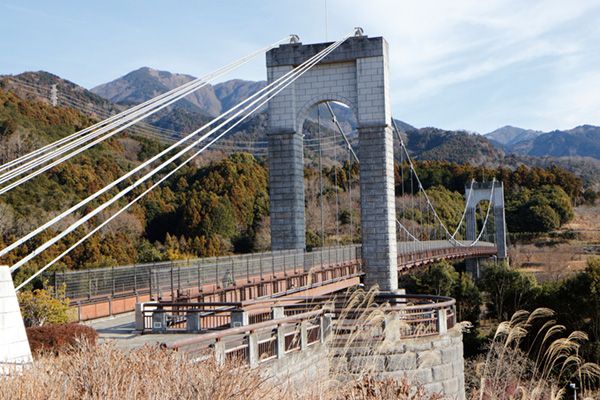 フットパスとは？醍醐味は意外すぎる動物にも出会えること!?