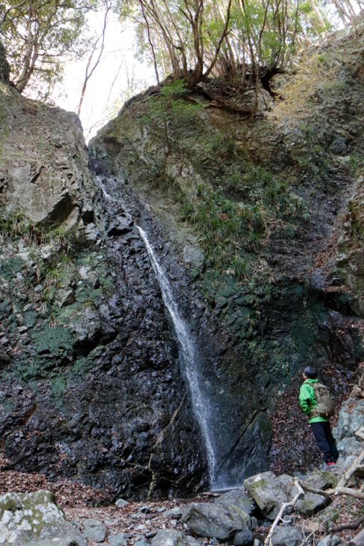 フットパスとは？醍醐味は意外すぎる動物にも出会えること!?
