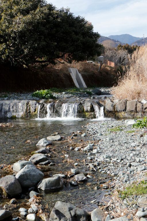 フットパスとは？醍醐味は意外すぎる動物にも出会えること!?