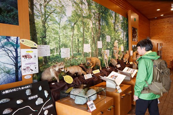 フットパスとは？醍醐味は意外すぎる動物にも出会えること!?