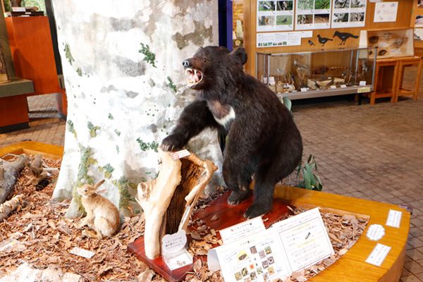 フットパスとは？醍醐味は意外すぎる動物にも出会えること!?