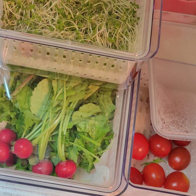 ザル付き保存容器