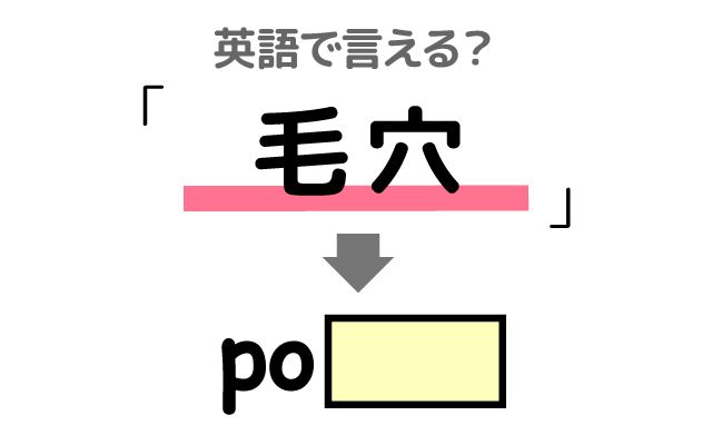 英語で【毛穴】は何て言う？「顔の毛穴」などの英語もご紹介