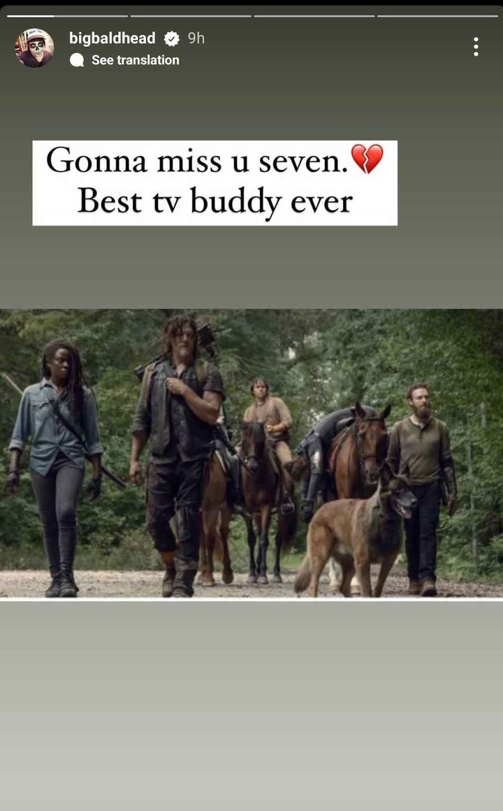 画像2: 『ウォーキング・デッド』のドッグが死去