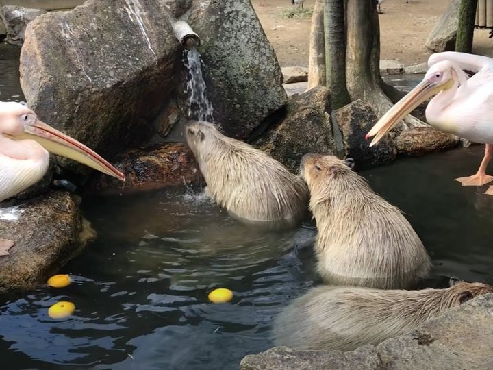 あっ…嫌な予感が…