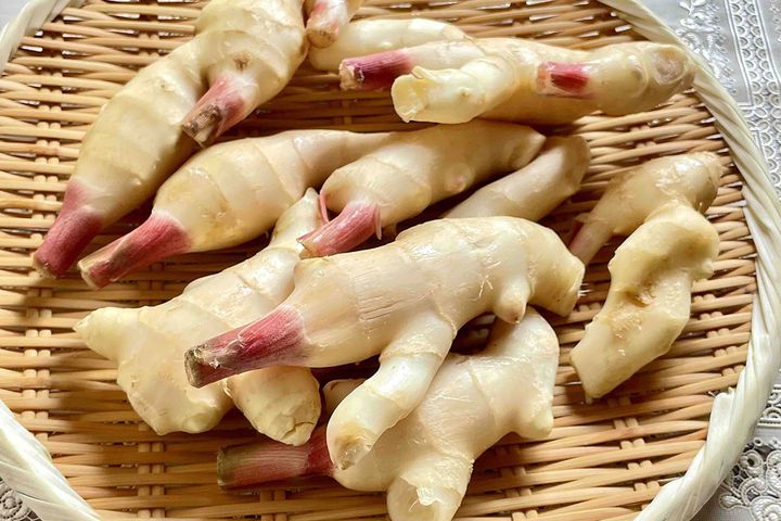 新しょうがのイメージ