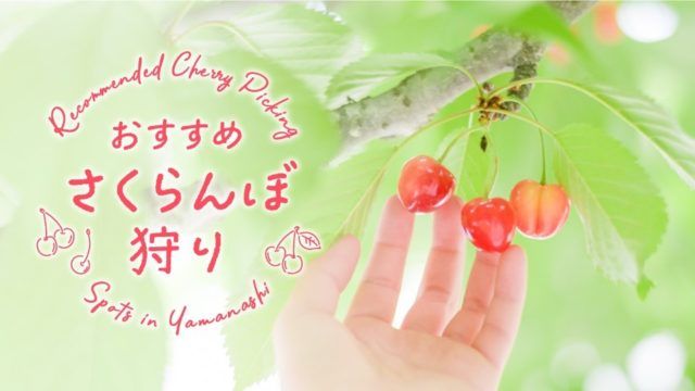 フルーツキャンペーンイメージ画像