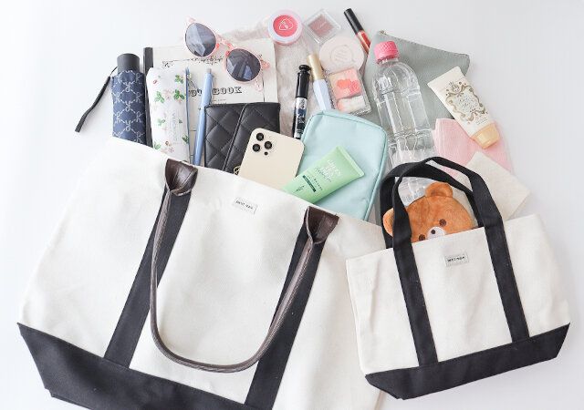 宝島社バッグ2個セット付録レビュー