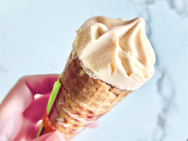 北海道赤肉メロンソフト 手持ち