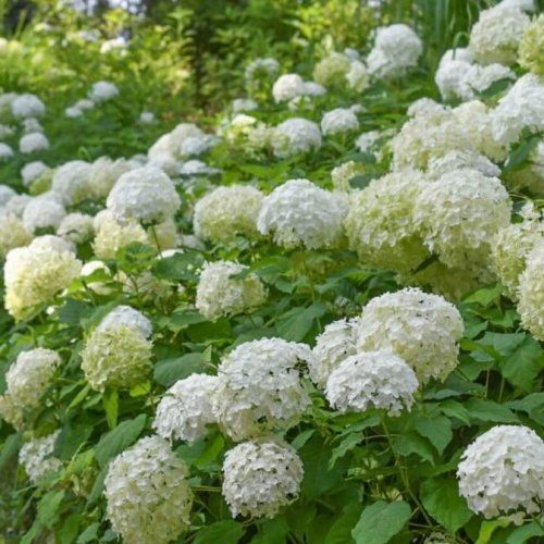 6月イベント情報_11