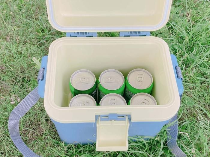 3COINSのクーラーボックスに350mLの缶を6本入れた様子