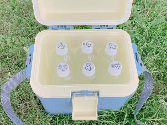 3COINSのクーラーボックスに500mLのペットボトルを6本入れた様子