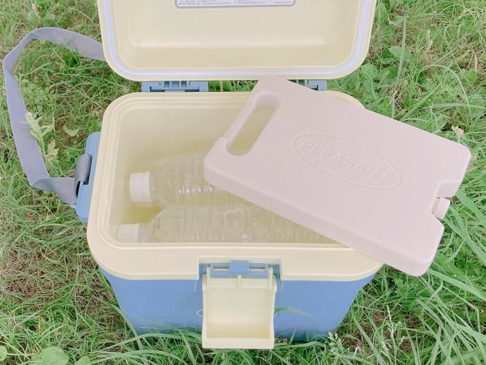 3COINSのクーラーボックスに500mLのペットボトルを横向きに6本入れた様子