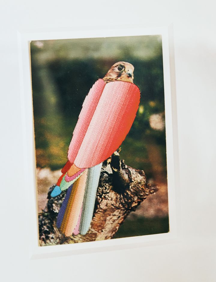 ジュリー・コックバーンによる、写真が加工された作品