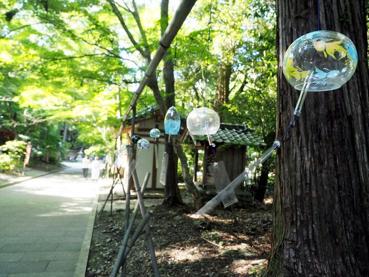 静岡・袋井で風鈴&スイーツをめぐる旅「 遠州三山 風鈴まつり 2024」～夏の音色と涼やかな癒やしを求めて♪～