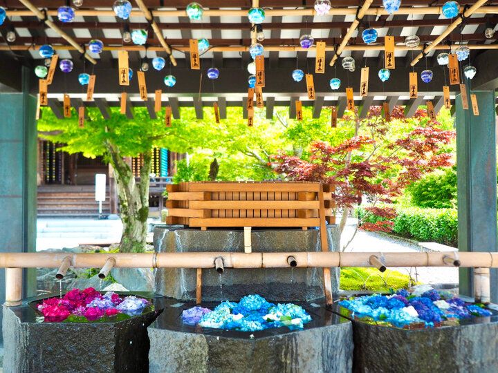 静岡・袋井で風鈴&スイーツをめぐる旅「 遠州三山 風鈴まつり 2024」～夏の音色と涼やかな癒やしを求めて♪～