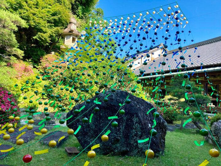 静岡・袋井で風鈴&スイーツをめぐる旅「 遠州三山 風鈴まつり 2024」～夏の音色と涼やかな癒やしを求めて♪～