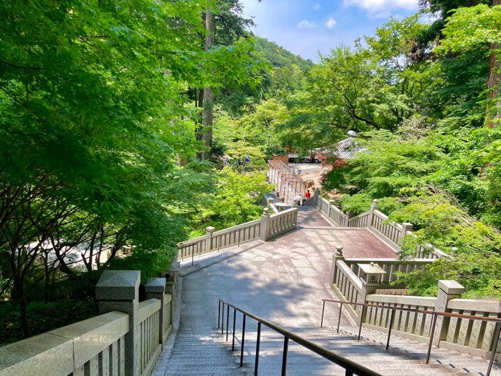 静岡・袋井で風鈴&スイーツをめぐる旅「 遠州三山 風鈴まつり 2024」～夏の音色と涼やかな癒やしを求めて♪～