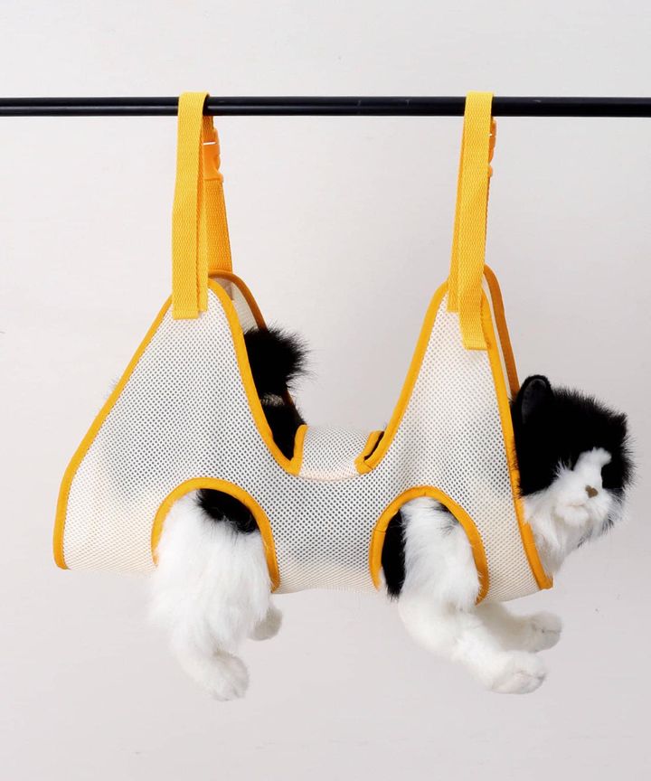 画像3: 出典：3COINS