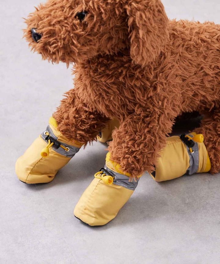 画像2: 出典：3COINS