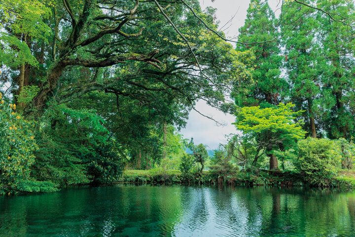 【2024年夏 イヴルルド遙華の12星座占い】～ハッピーの連鎖を引き寄せ、一気にステップアップするヒントがここに～