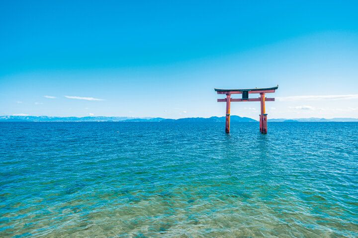 【2024年夏 イヴルルド遙華の12星座占い】～ハッピーの連鎖を引き寄せ、一気にステップアップするヒントがここに～