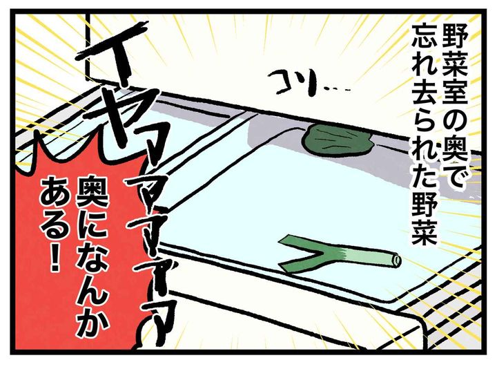 画像2: 古い野菜