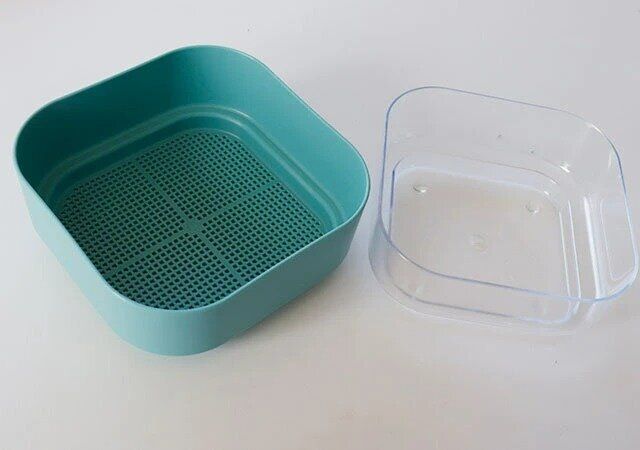 ダイソー スプラウトを育てる容器（約12.5cm×12.5cm）
