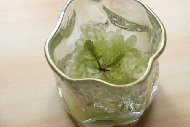 ダイソー 土無しで育つ栽培ファイバー プリムレア 使用例