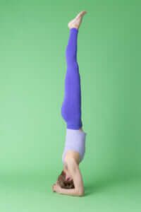 シルシャーサナ