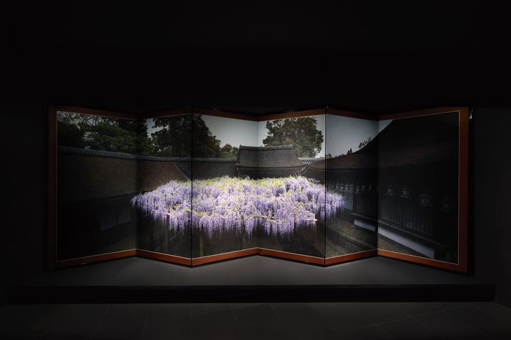 杉本博司 「春日大社藤棚図屏風」2022 年 / 六曲⼀隻 ピグメントプリント、和紙 201.5 x 586.5 cm
