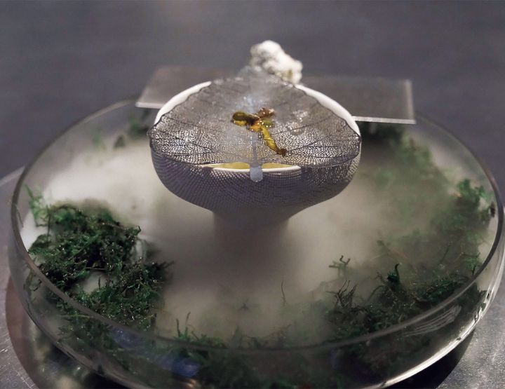 Photo_ Courtesy of OMOT