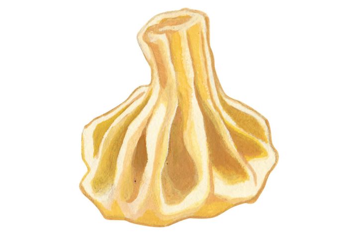  鴻奈緒 イラスト